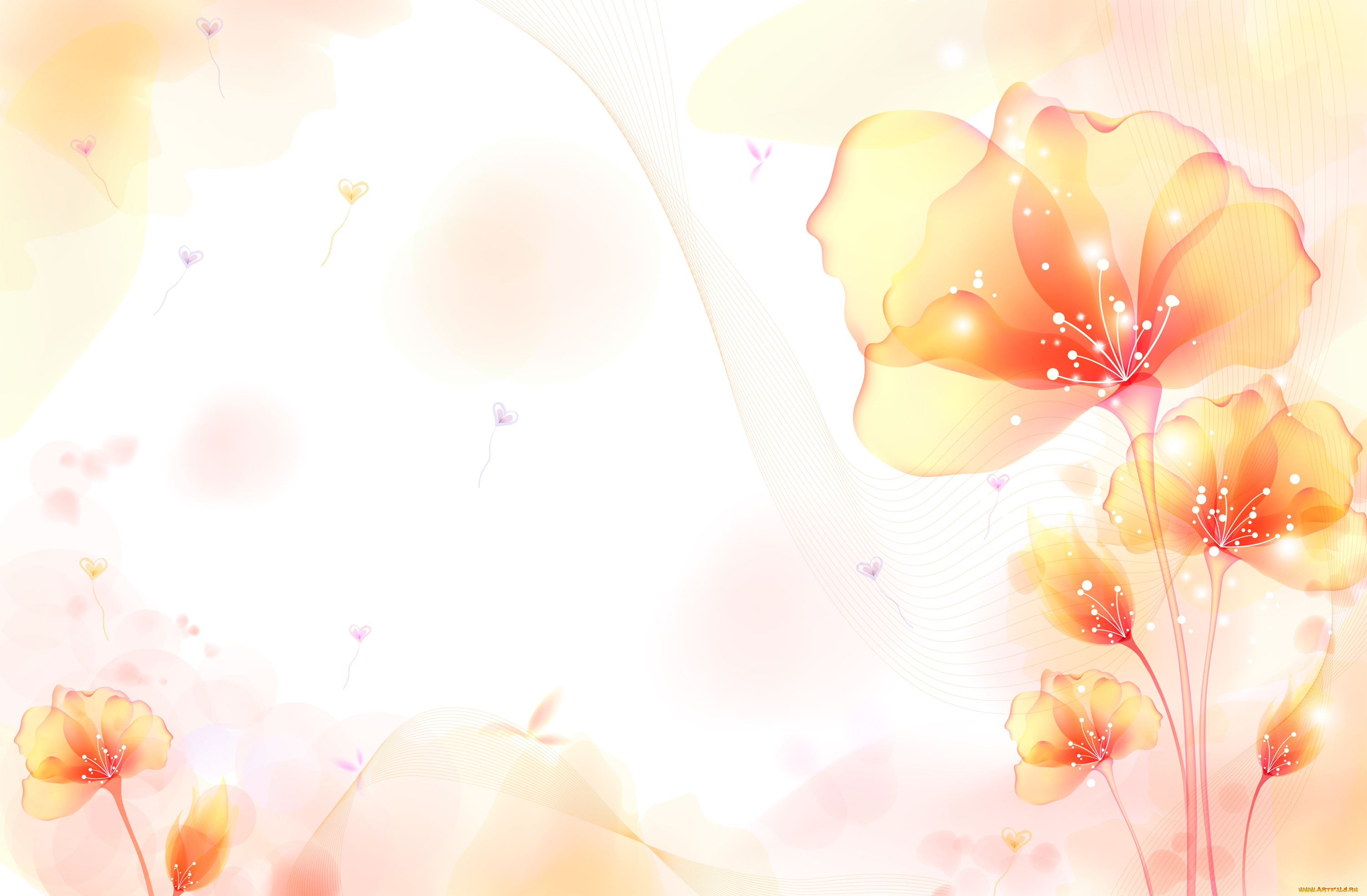  ,  , flowers, , 